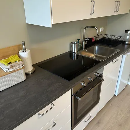 Апартаменты Modern With Wood-fired Sauna