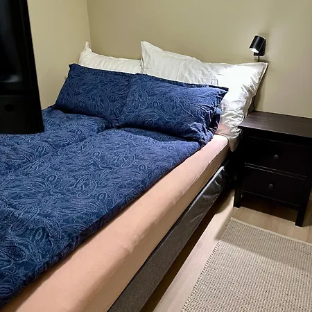 Modern With Wood-fired Sauna