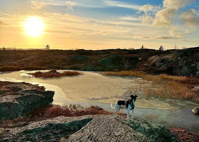 Modern With Wood-fired Sauna *